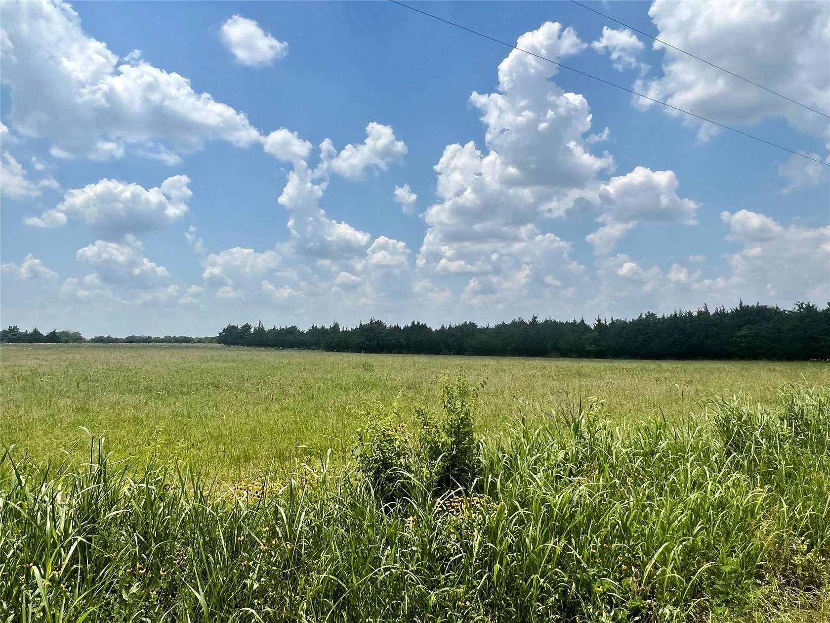 26 Acres of Agricultural Land for Sale in Blossom, Texas