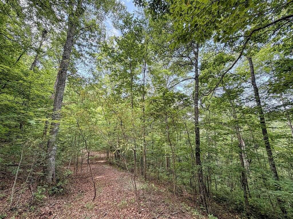 5 Acres of Residential Land for Sale in Bryson City, North Carolina