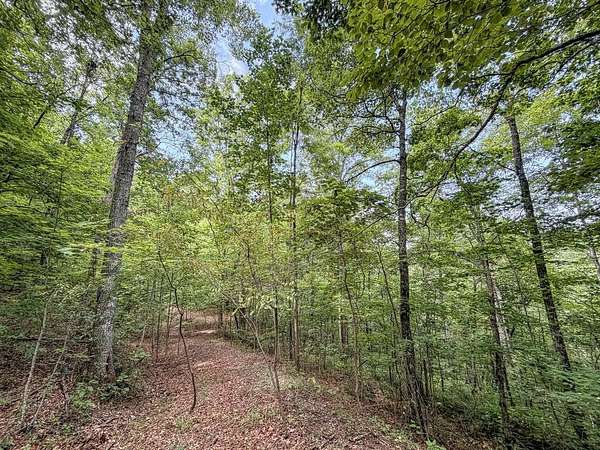 5 Acres of Residential Land for Sale in Bryson City, North Carolina