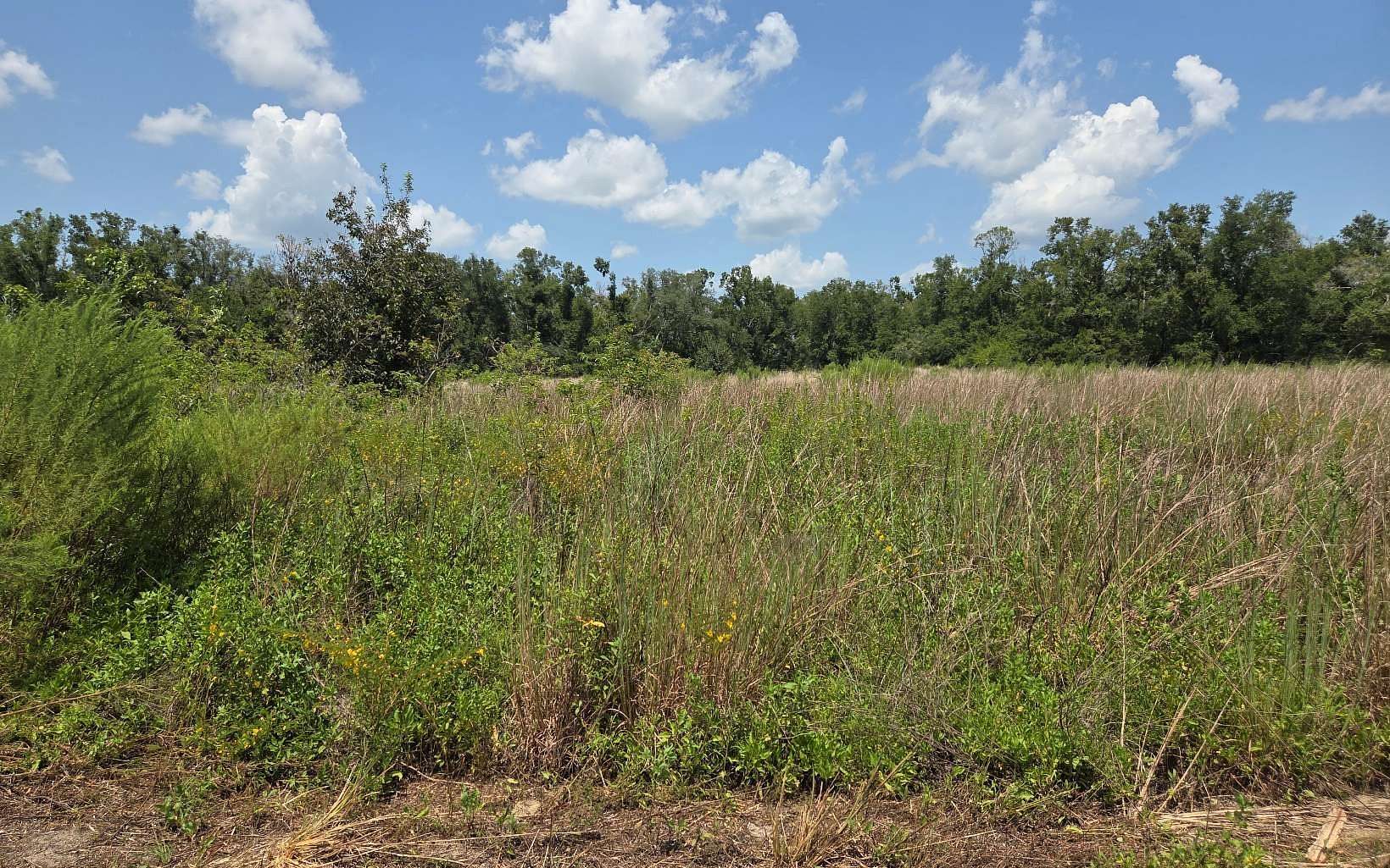 16.7 Acres of Agricultural Land for Sale in Live Oak, Florida