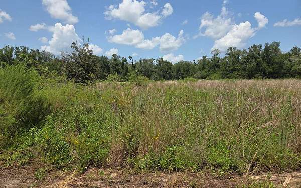 16.7 Acres of Agricultural Land for Sale in Live Oak, Florida