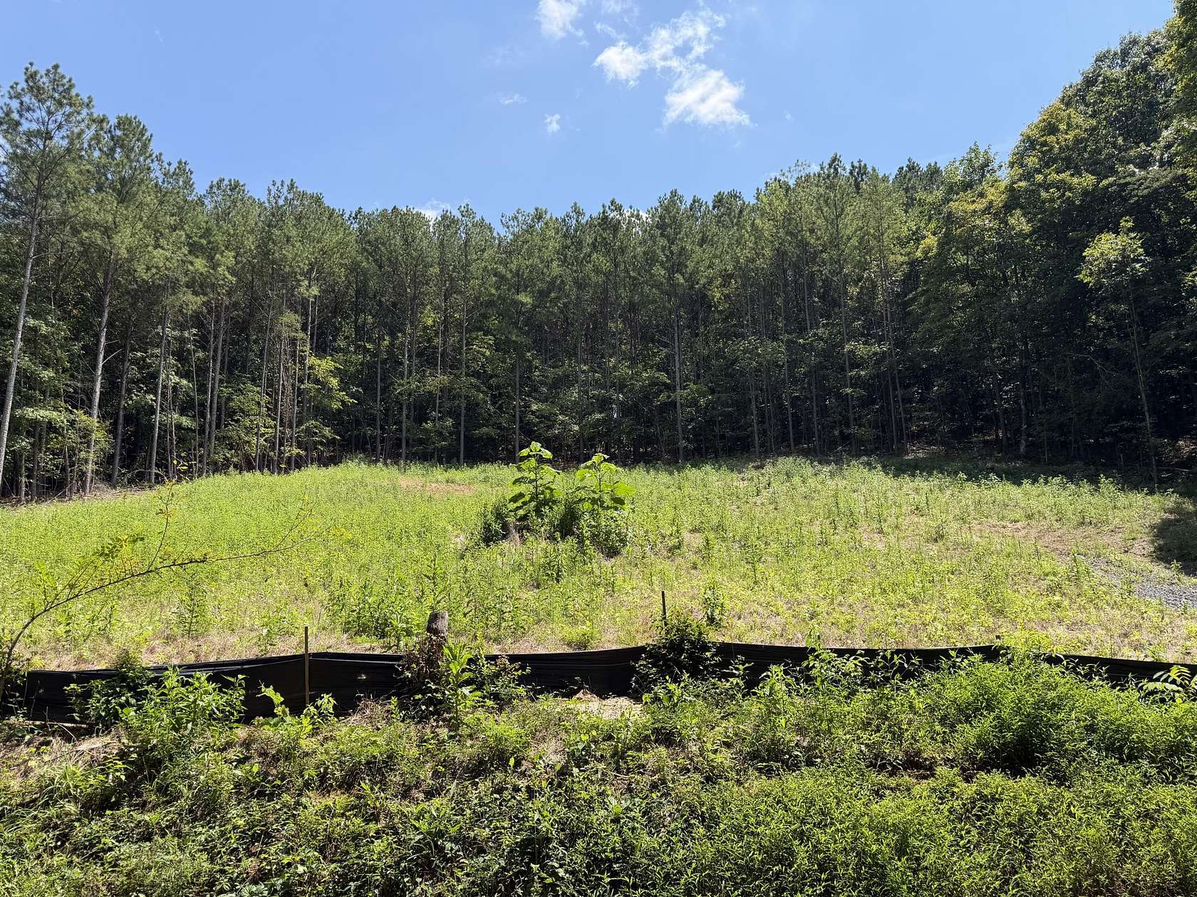 5 Acres of Residential Land for Sale in McDonald, Tennessee