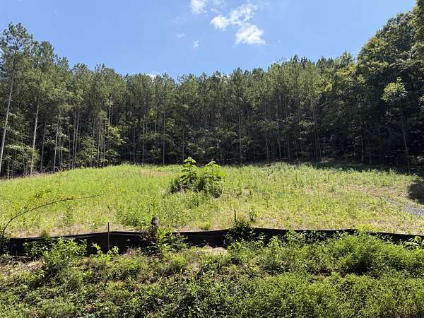 5 Acres of Residential Land for Sale in McDonald, Tennessee