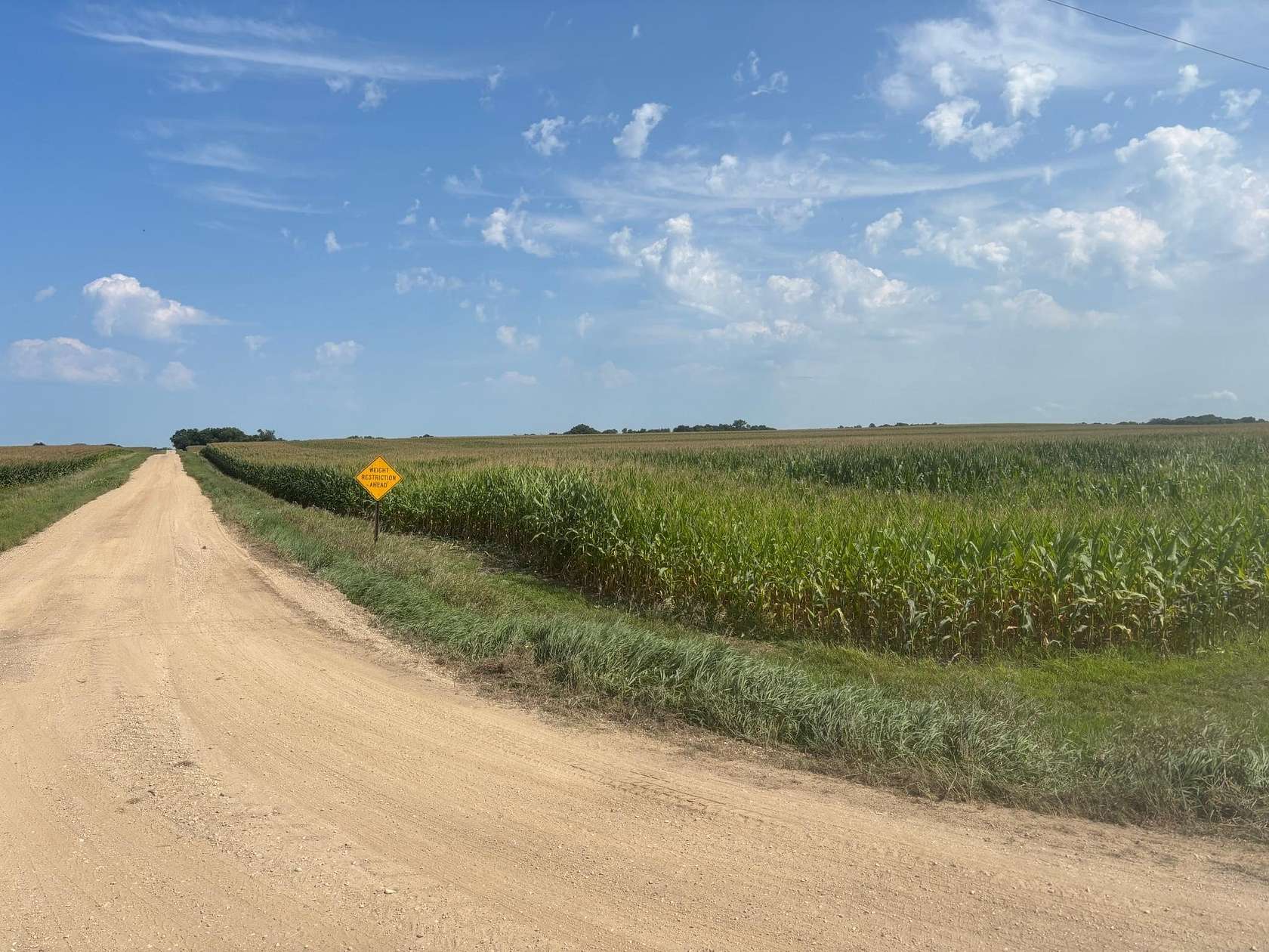 127 Acres of Agricultural Land for Sale in Milan, Minnesota
