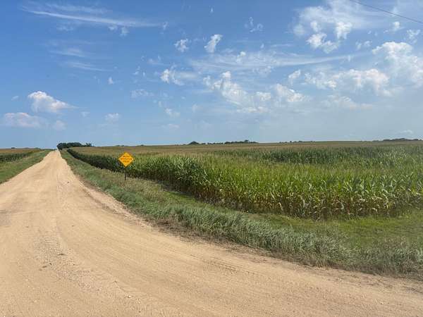 127 Acres of Agricultural Land for Sale in Milan, Minnesota