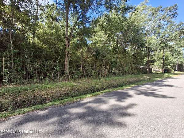Residential Land for Sale in Pearlington, Mississippi