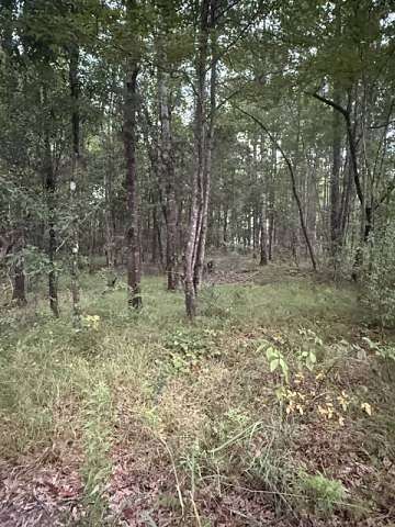 5 Acres of Residential Land for Sale in Sunflower, Alabama