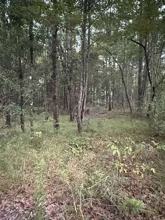 5 Acres of Residential Land for Sale in Sunflower, Alabama