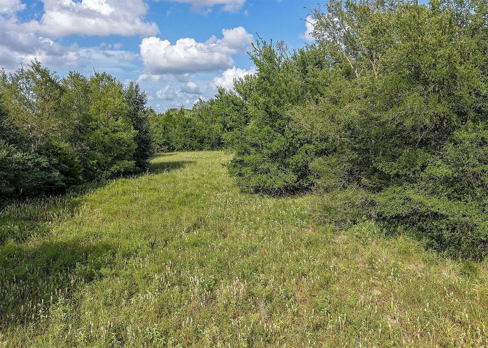 21.7 Acres of Land for Sale in Rockdale, Texas