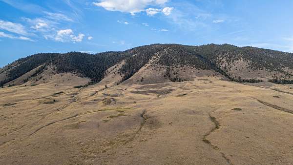 41.7 Acres of Recreational & Residential Land for Sale in Laramie, Wyoming