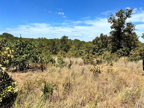 20 Acres of Land for Sale in Beggs, Oklahoma