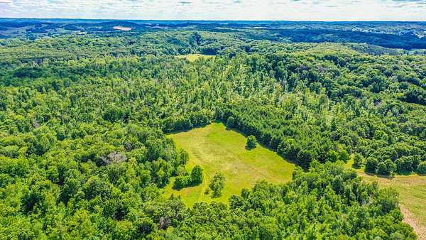 80 Acres of Recreational & Residential Land for Sale in Eleva, Wisconsin