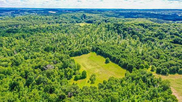 80 Acres of Recreational & Residential Land for Sale in Eleva, Wisconsin