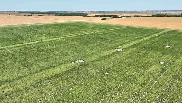 158 Acres of Agricultural Land for Auction in South Haven, Kansas