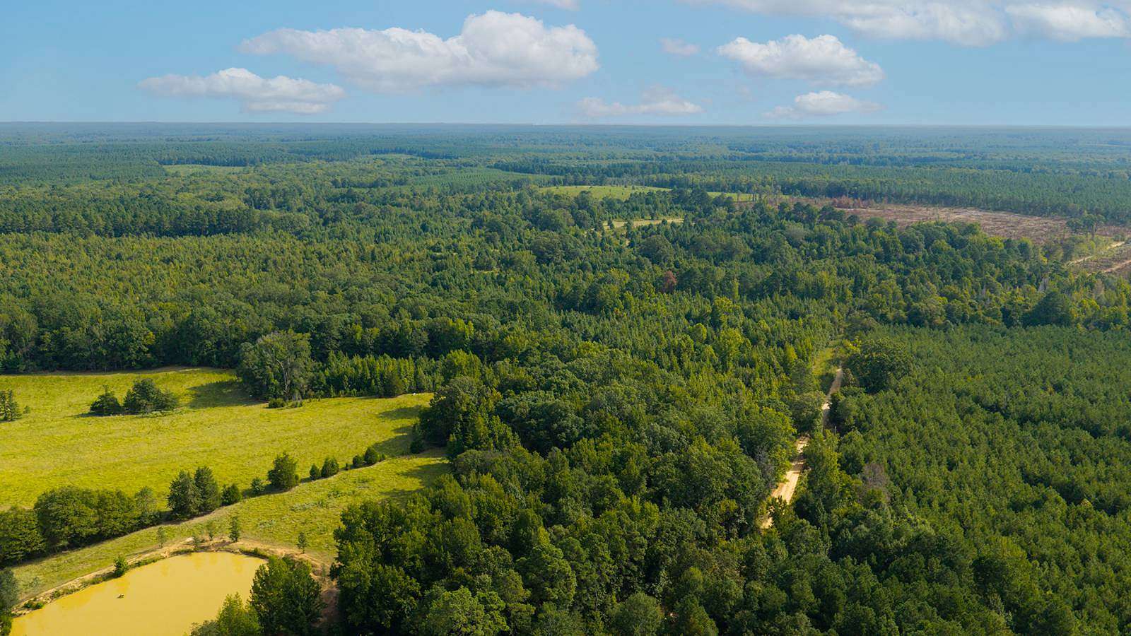 108 Acres of Recreational Land for Sale in Waldo, Arkansas