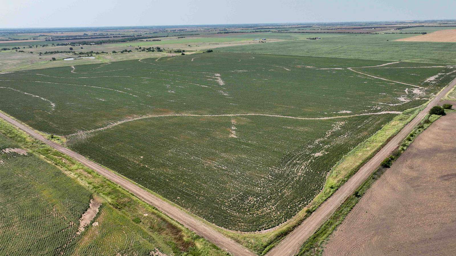 158 Acres of Agricultural Land for Auction in South Haven, Kansas