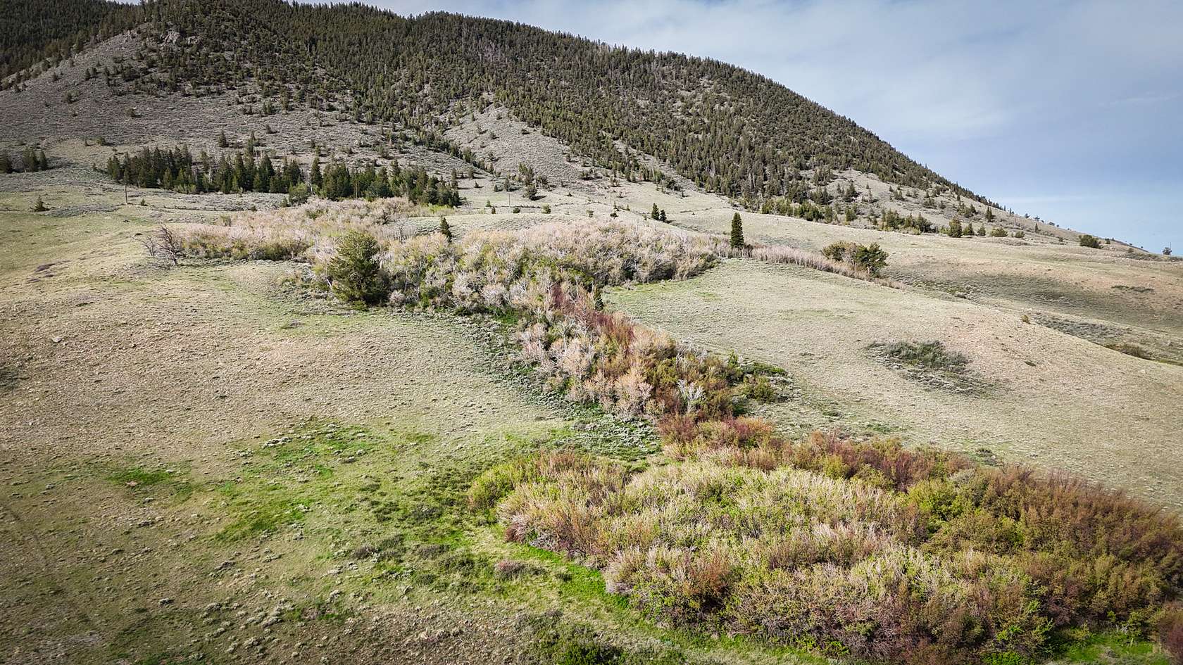 37.5 Acres of Recreational & Residential Land for Sale in Laramie, Wyoming