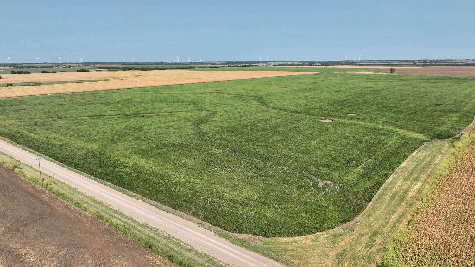 81 Acres of Agricultural Land for Auction in South Haven, Kansas