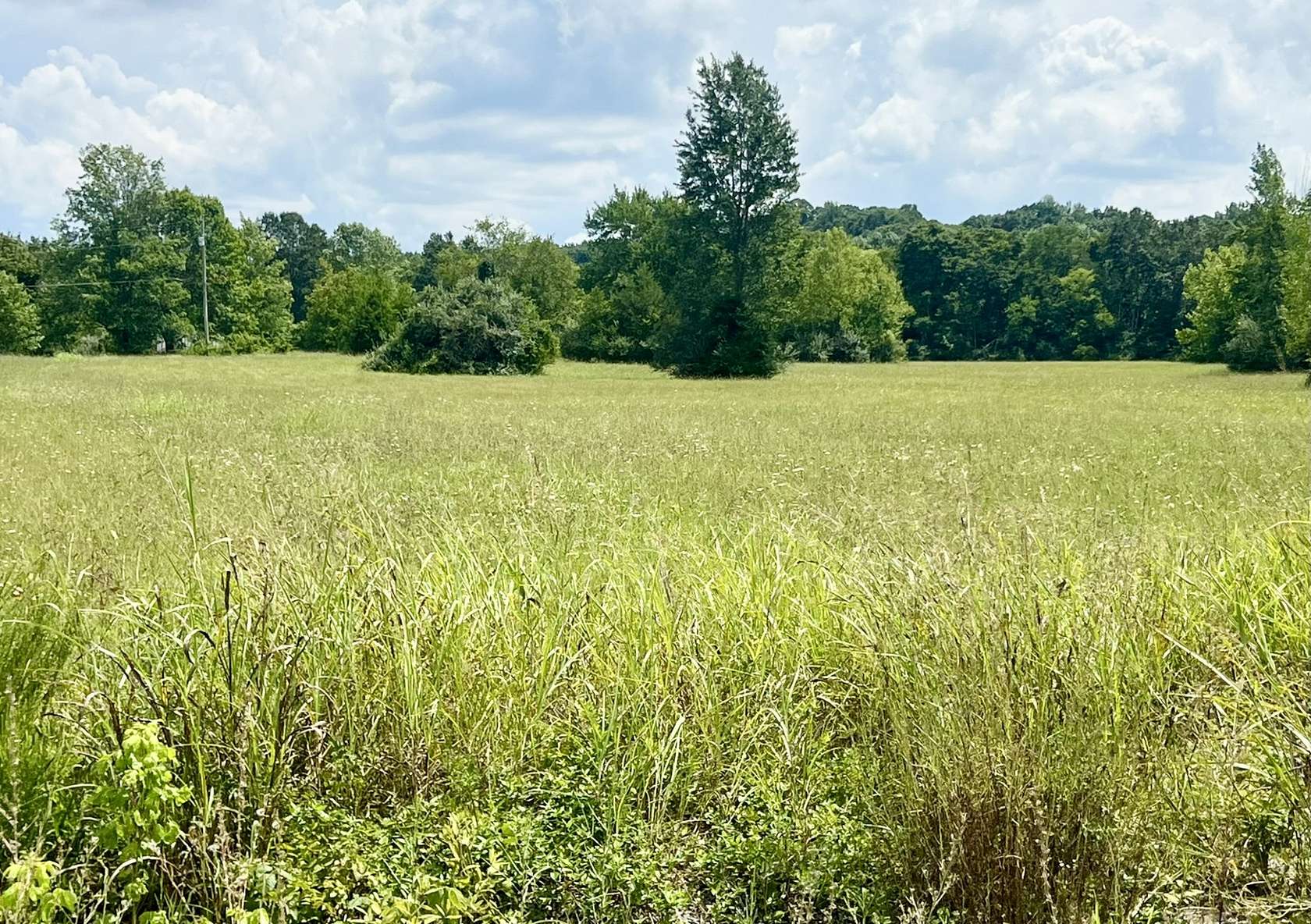 9.86 Acres of Land for Auction in Portland, Tennessee