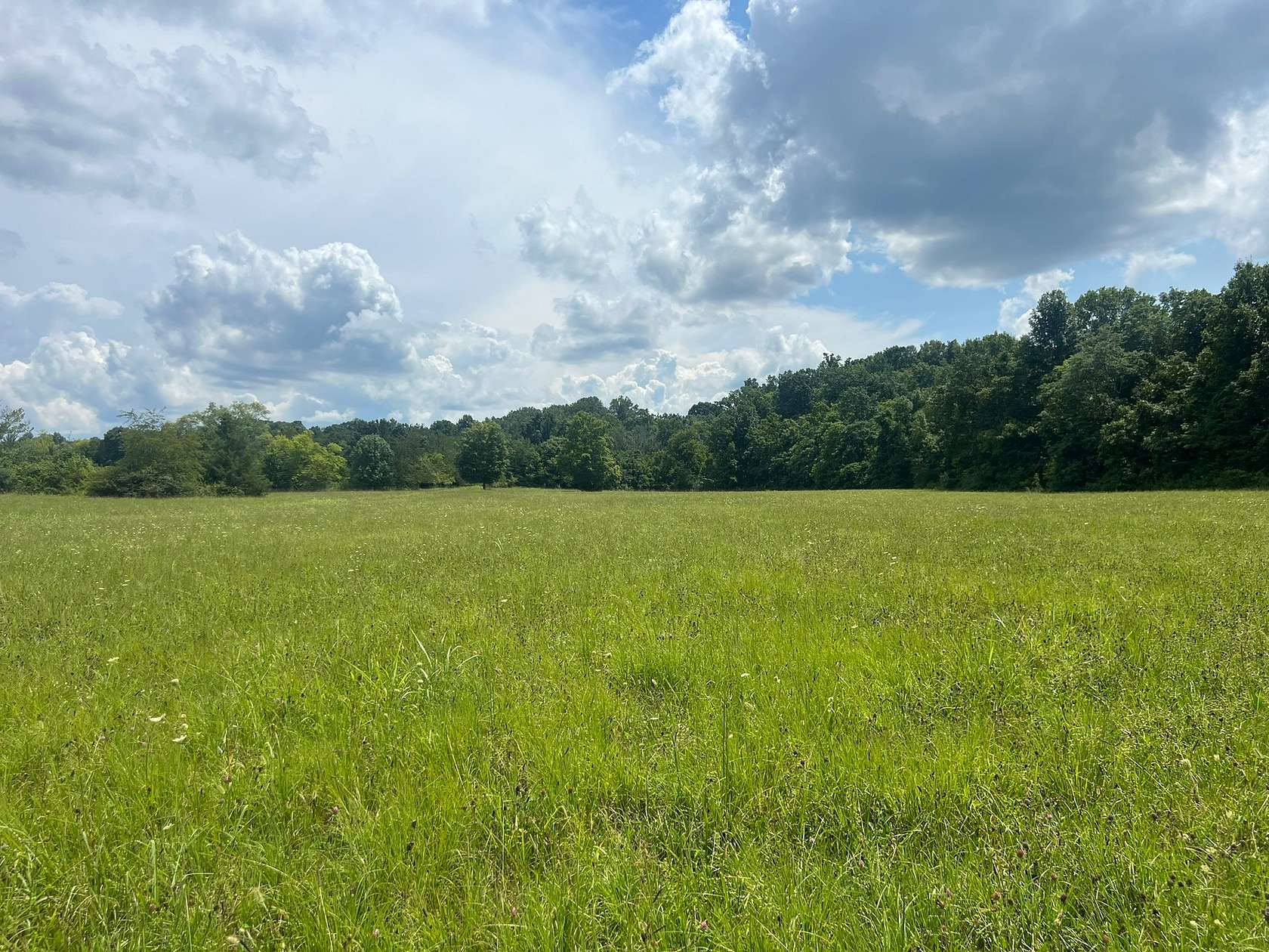 5.65 Acres of Land for Auction in Portland, Tennessee