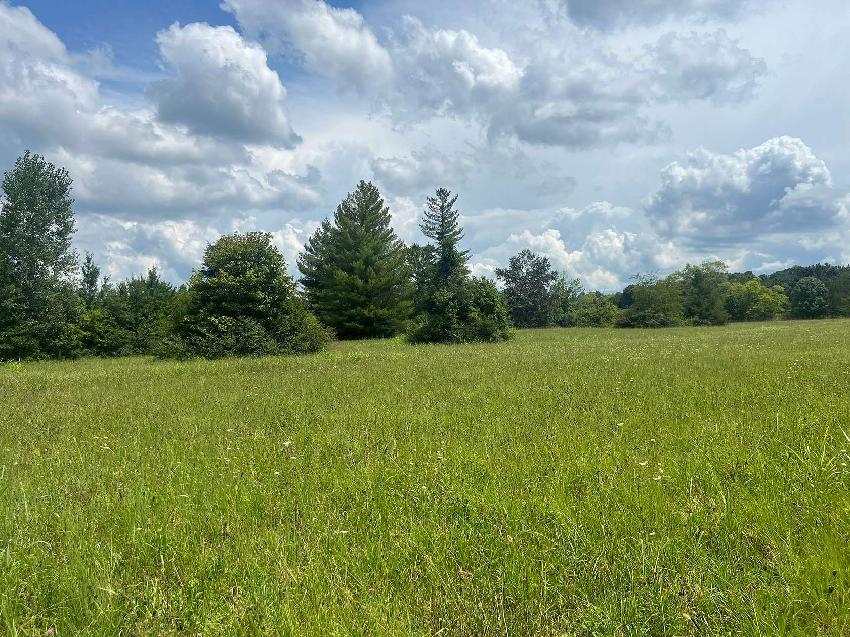 5.25 Acres of Land for Auction in Portland, Tennessee