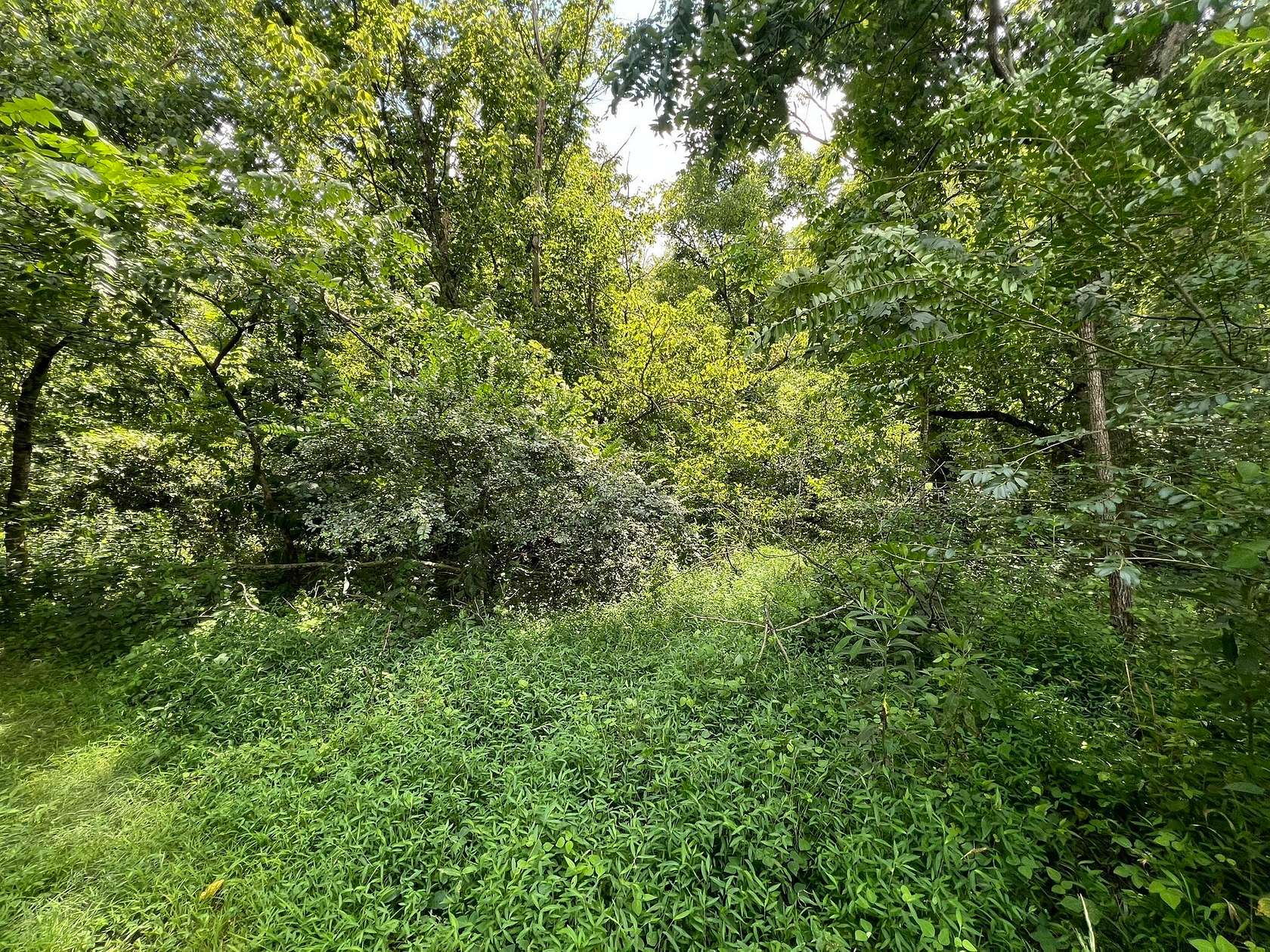 10.7 Acres of Land for Auction in Portland, Tennessee