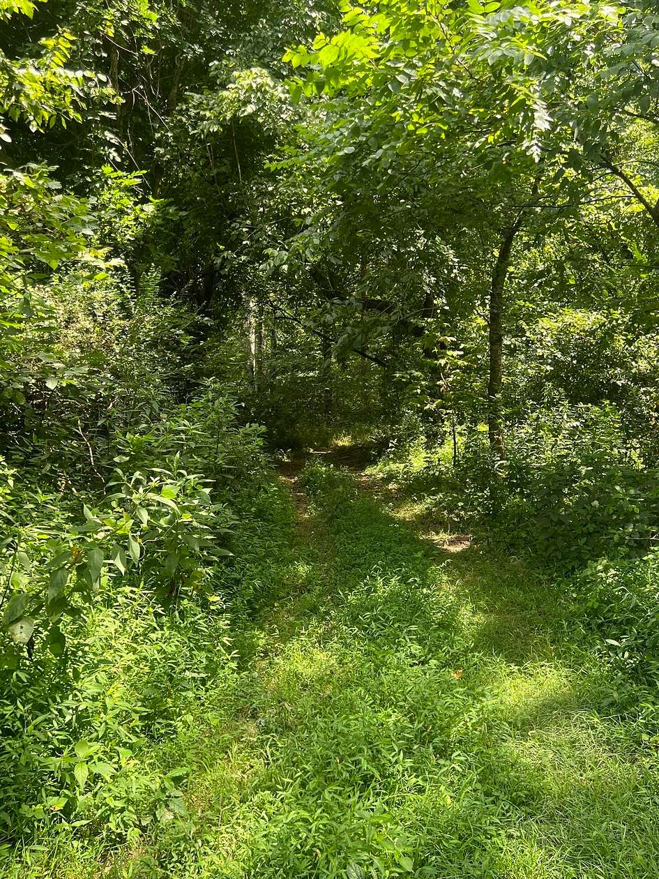 11.4 Acres of Land for Auction in Portland, Tennessee