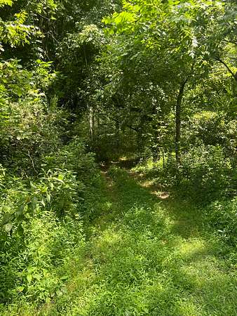 11.4 Acres of Land for Auction in Portland, Tennessee
