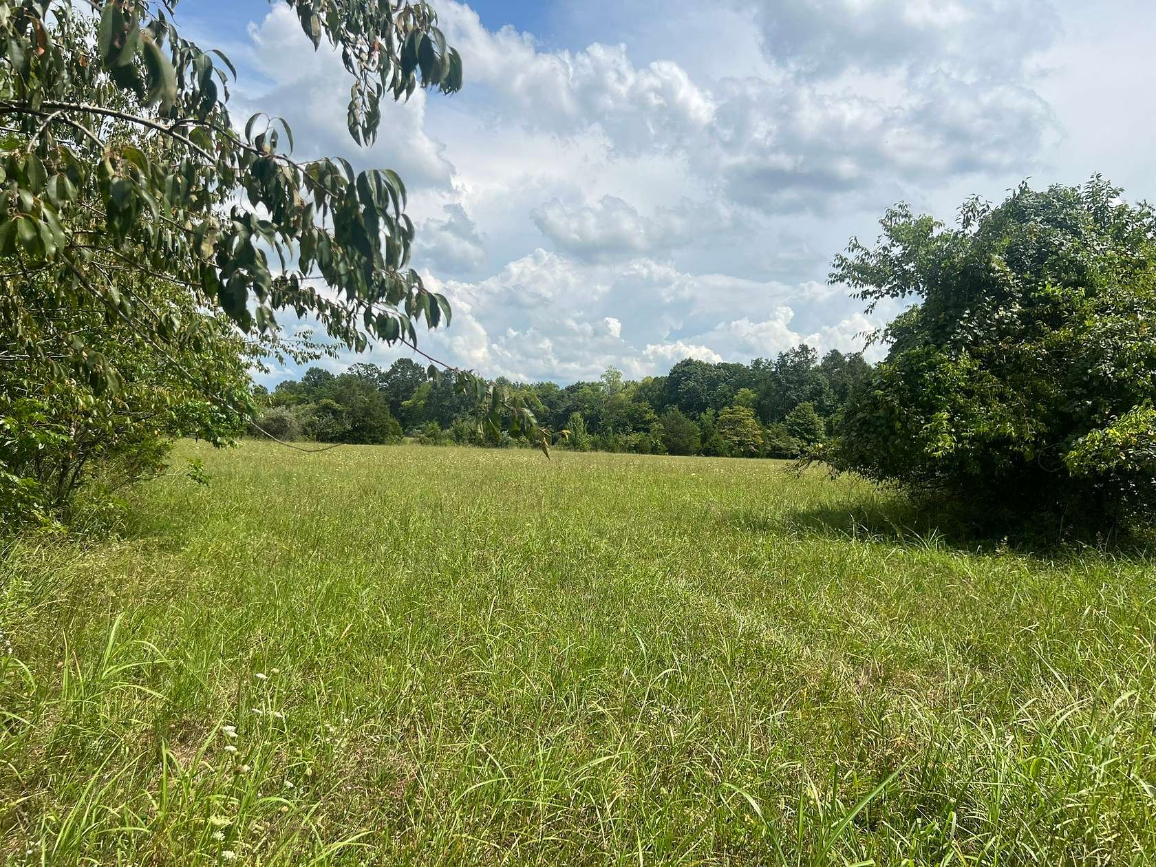 18.6 Acres of Land for Auction in Portland, Tennessee
