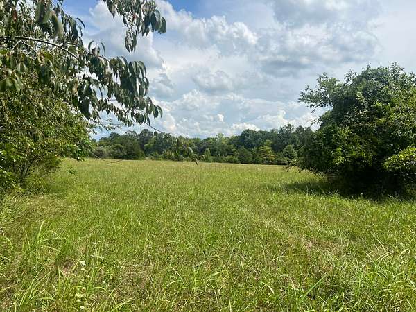 18.6 Acres of Land for Auction in Portland, Tennessee