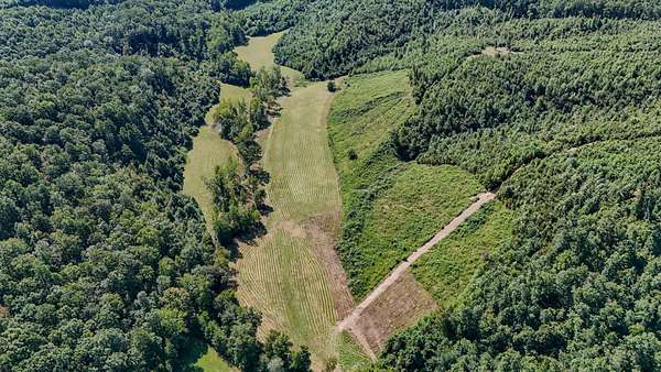 81.8 Acres of Land for Sale in Waynesboro, Tennessee