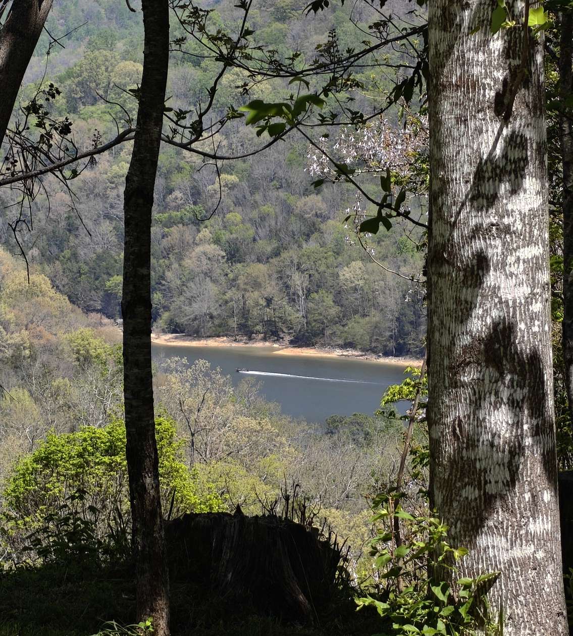 2.1 Acres of Residential Land for Sale in Smithville, Tennessee