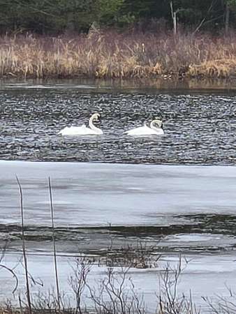 9.2 Acres of Land for Sale in Prudenville, Michigan