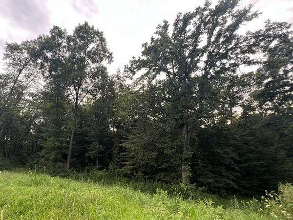 2.63 Acres of Residential Land for Sale in Van Meter, Iowa