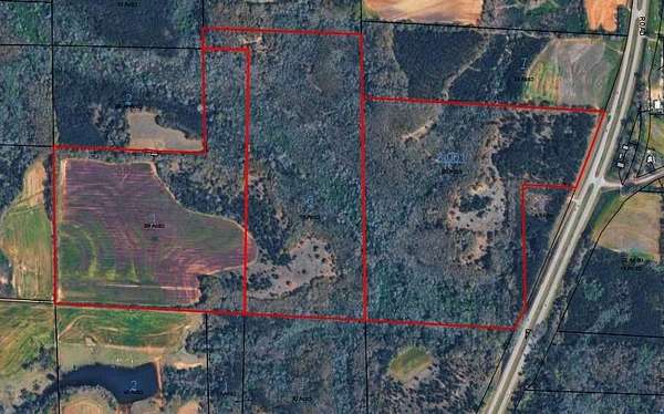 185 Acres of Recreational Land for Sale in Newville, Alabama
