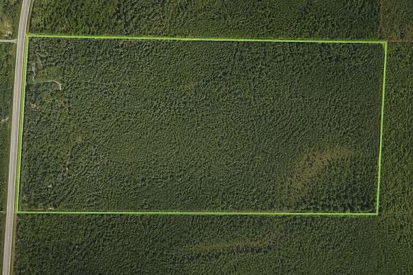 76 Acres of Recreational & Residential Land for Sale in Argonne, Wisconsin