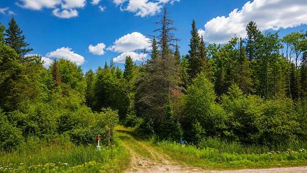 80 Acres of Recreational & Residential Land for Sale in Argonne, Wisconsin