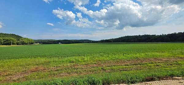 29.4 Acres of Agricultural & Residential Land for Sale in Mazeppa, Minnesota