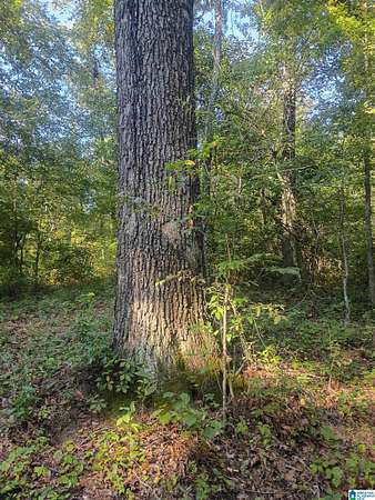 7.18 Acres of Land for Sale in Riverside, Alabama