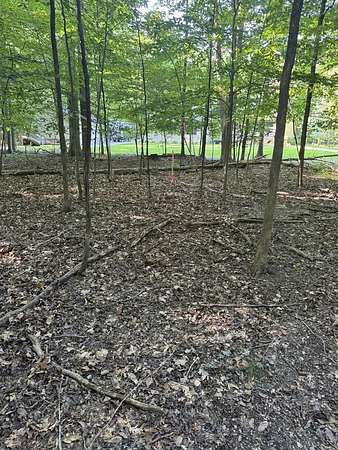 0.49 Acres of Residential Land for Sale in Mount Gilead, Ohio