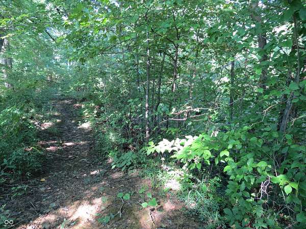 25 Acres of Recreational & Residential Land for Sale in Morgantown, Indiana
