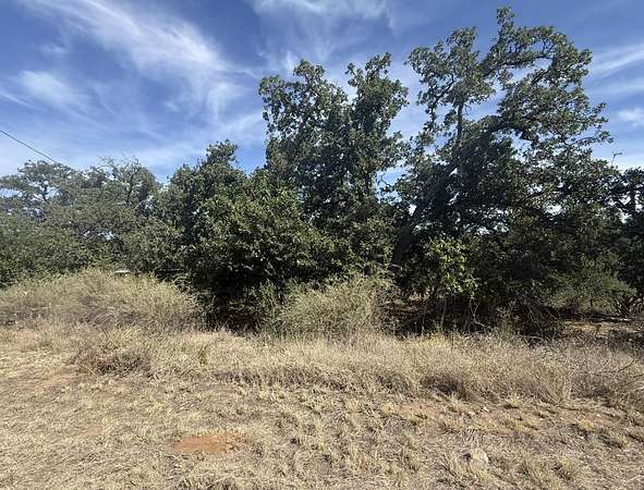 0.13 Acres of Residential Land for Sale in Kingsland, Texas
