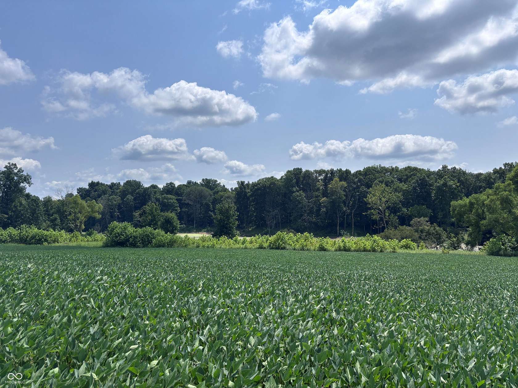 157 Acres of Land for Sale in Farmersburg, Indiana
