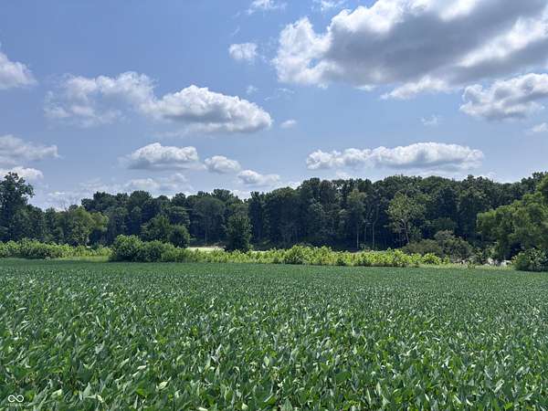 157 Acres of Land for Sale in Farmersburg, Indiana