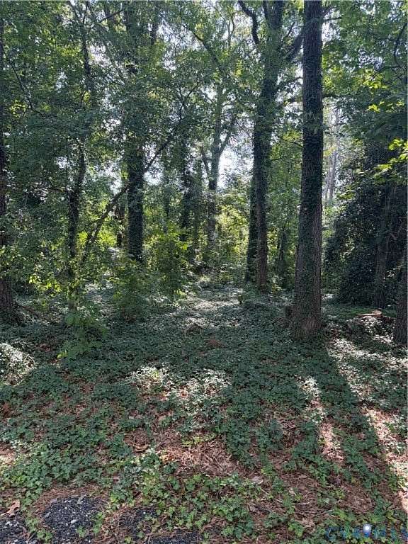 0.4 Acres of Residential Land for Sale in Ampt Hill, Virginia