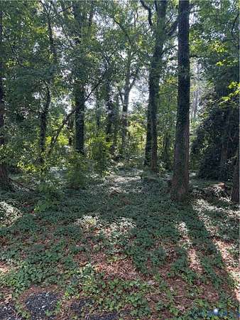 0.4 Acres of Residential Land for Sale in Ampt Hill, Virginia