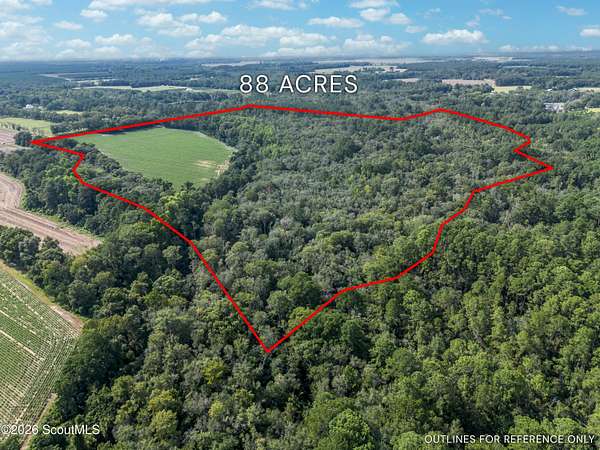 88 Acres of Land for Sale in Jesup, Georgia