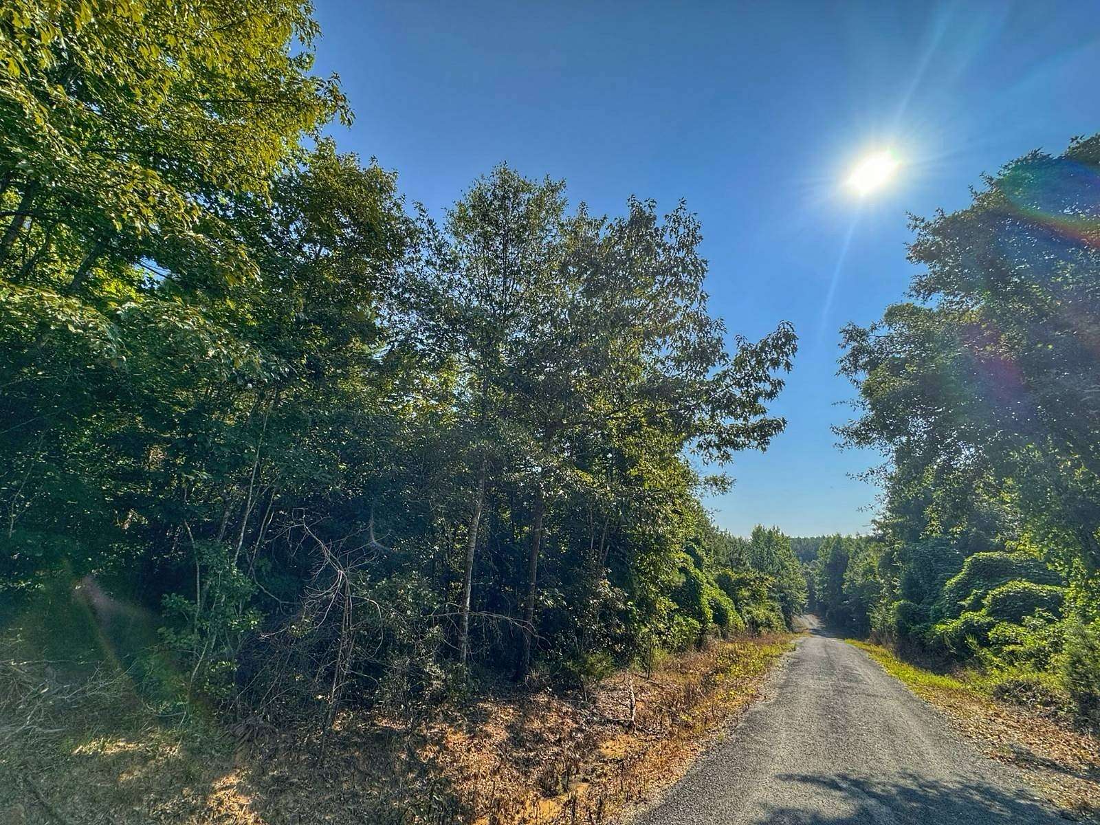 4.18 Acres of Residential Land for Sale in Hamilton, Alabama