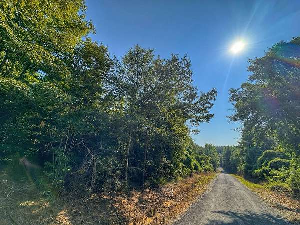 4.18 Acres of Residential Land for Sale in Hamilton, Alabama