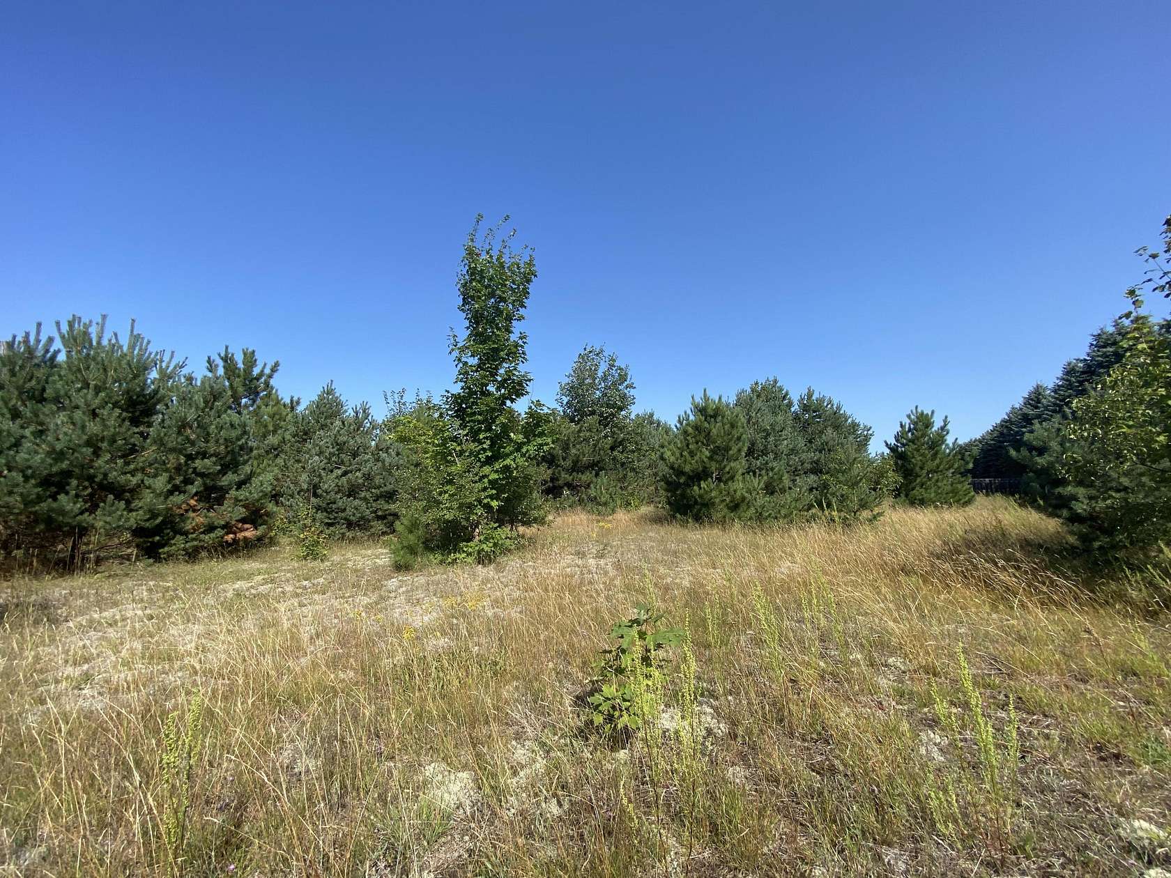 0.67 Acres of Residential Land for Sale in Gaylord, Michigan